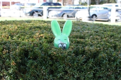 2014-Jaycee-Easter-Egg-Hunt-BG_0067