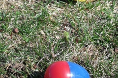 2014-Jaycee-Easter-Egg-Hunt-PW_0040