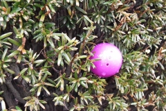 2015-easter-egg-hunt-211