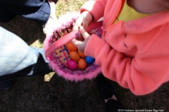 2016-easter-egg-hunt-5019