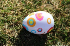 2016-easter-egg-hunt-5103