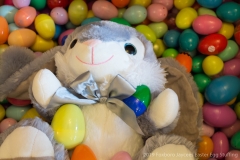 2019-Jaycees-Easter-Egg-Stuffing-022