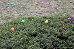 2023-Jaycee-Easter-Egg-Hunt-812
