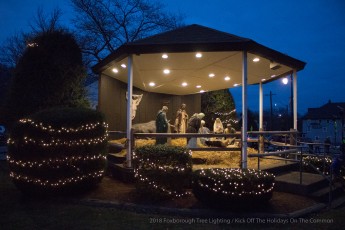 2018-holiday-tree-lighting-759