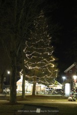 2025-foxboro-jaycees-caroling-on-common-805
