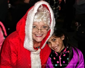 2017-holiday-tree-lighting-005