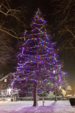 2021-Jaycees-Decorate-Common-072