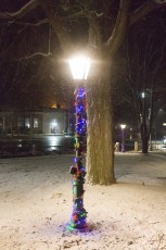 2021-Jaycees-Decorate-Common-087