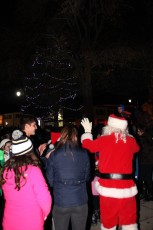 2014-holiday-tree-lighting-005