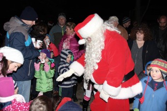 2014-holiday-tree-lighting-009