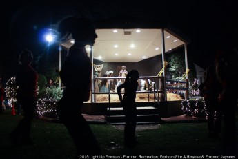 2015-holiday-tree-lighting-021