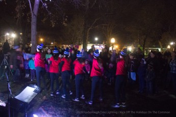 2018-holiday-tree-lighting-738