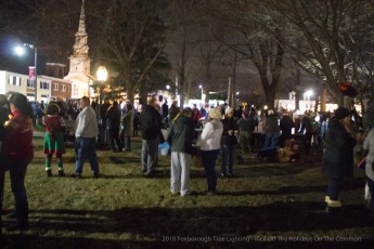 2018-holiday-tree-lighting-749