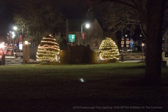 2018-holiday-tree-lighting-752