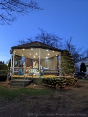 2021-Christmas-Light-Up-Foxboro-200