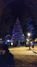 2021-Christmas-Light-Up-Foxboro-201