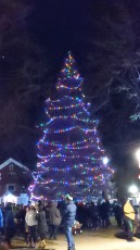 2021-Christmas-Light-Up-Foxboro-206