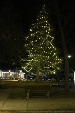 2023-Jaycees-At-LightUp-Foxboro-904