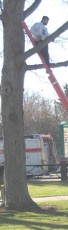 2002-christmas-deco-common-05