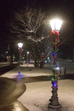 2021-Jaycees-Decorate-Common-076