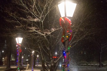 2021-Jaycees-Decorate-Common-085