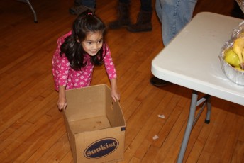 2012-fruit-baskets-315515
