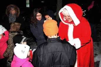 2014-holiday-tree-lighting-016