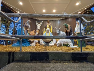 2021-Christmas-Light-Up-Foxboro-203