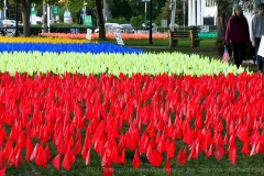 2024-JayceeConcerts-10-Red-Herring-20