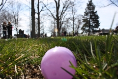 2012_jceeh_098