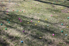 2014-Jaycee-Easter-Egg-Hunt-BG_0047