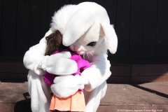 2016-easter-egg-hunt-1015