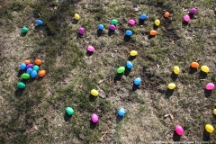 2016-easter-egg-hunt-1074