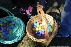 2016-easter-egg-hunt-5067