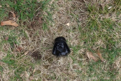 2019-Jaycee-Easter-Egg-Hunt-019