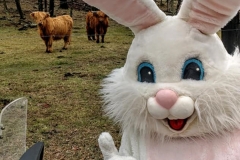 2020-Jaycees-Easter-Bunny-During-COVID-19-00