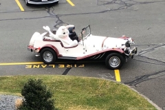 2020-Jaycees-Easter-Bunny-During-COVID-19-11