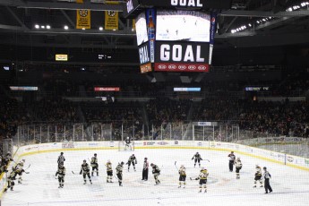 2016-Providence-Bruins-022
