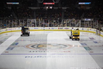 2016-Providence-Bruins-011
