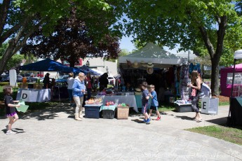 2019-05-Jaycee-Spring-Vendor-Fair-017