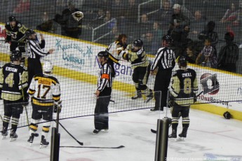 2016-Providence-Bruins-005