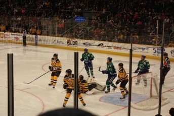 2013-providence-bruins-jcs-11