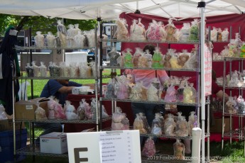 2019-05-Jaycee-Spring-Vendor-Fair-016