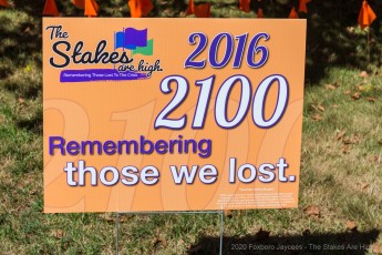 2020-Stakes-Are-High-2011