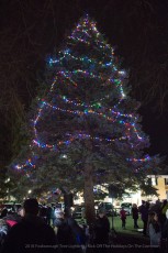 2018-holiday-tree-lighting-702