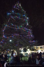 2018-holiday-tree-lighting-703