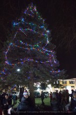 2018-holiday-tree-lighting-704