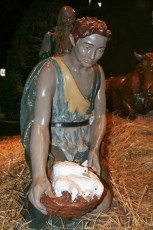 completed-nativity-010