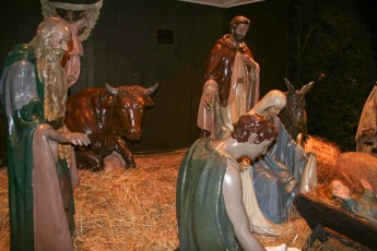 completed-nativity-012