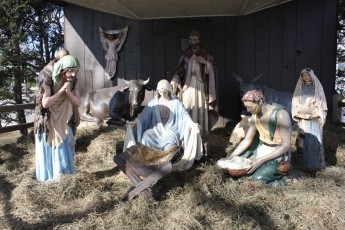completed-nativity-030